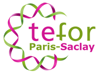 TEFOR Paris-Saclay